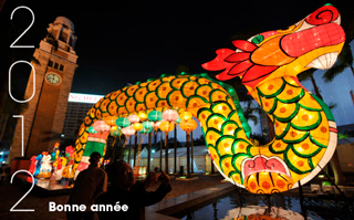 dragon